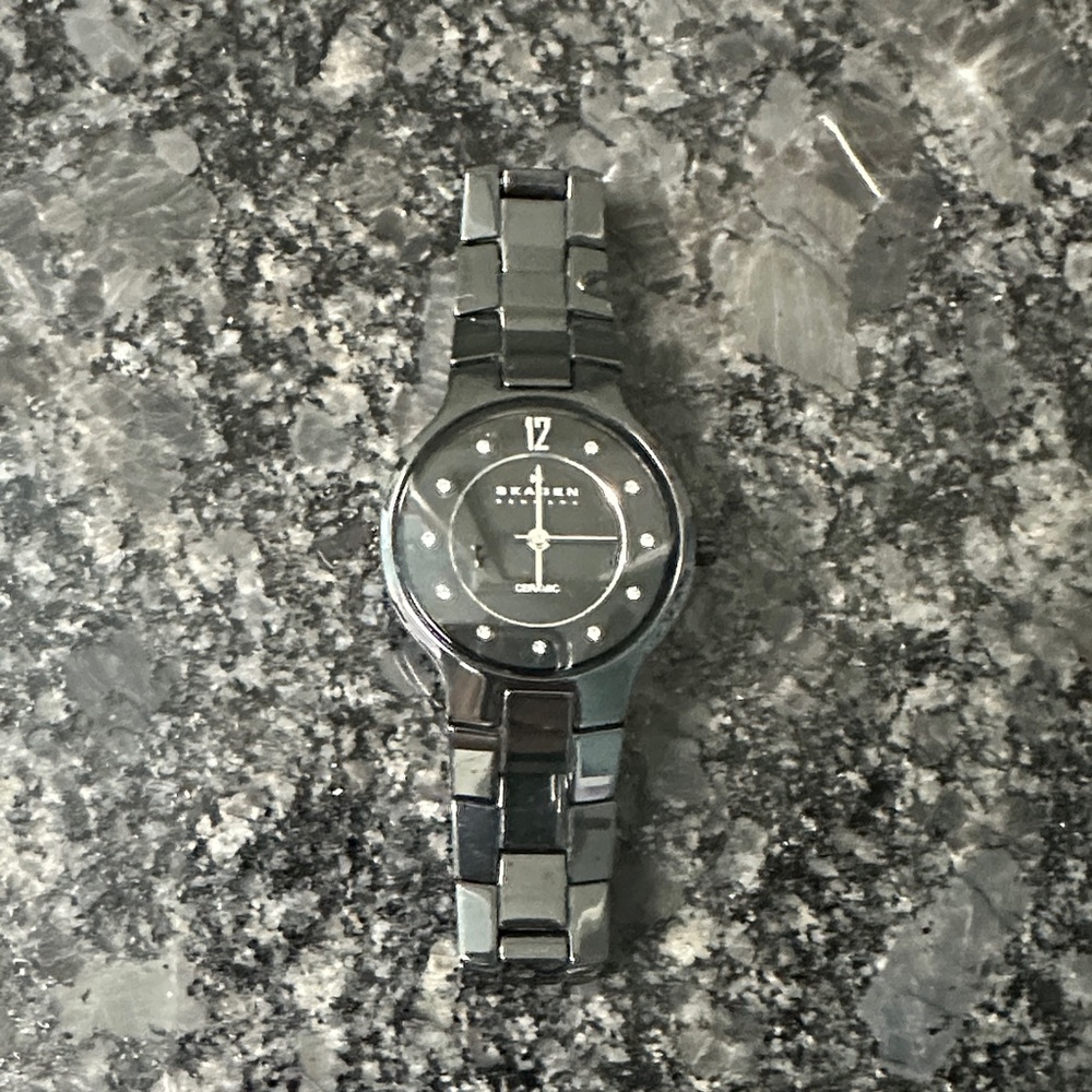 Skagen Charcoal and Silver Women's Watch